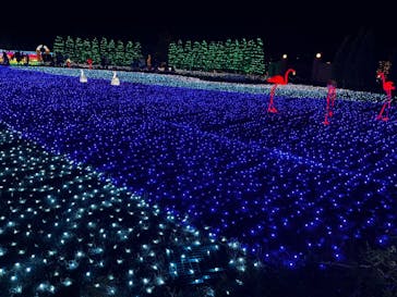 東武動物公園に投稿された画像（2021/11/28）