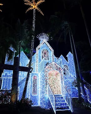 美らヤシパークオキナワ・東南植物楽園に投稿された画像（2021/11/28）