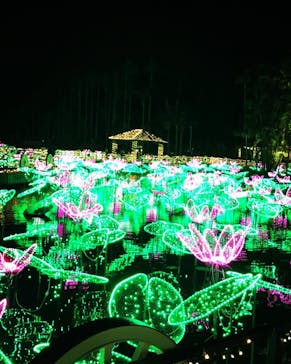 美らヤシパークオキナワ・東南植物楽園に投稿された画像（2021/11/28）