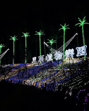 美らヤシパークオキナワ・東南植物楽園に投稿された画像（2021/11/28）