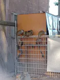 東武動物公園に投稿された画像（2021/11/28）