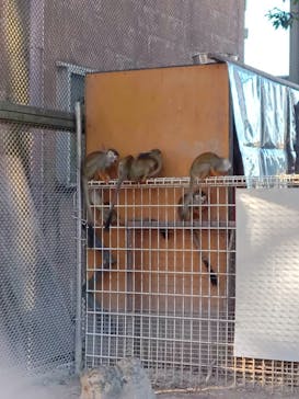 東武動物公園に投稿された画像（2021/11/28）