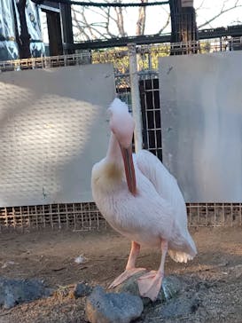 東武動物公園に投稿された画像（2021/11/28）