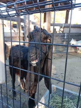 東武動物公園に投稿された画像（2021/11/28）