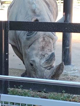東武動物公園に投稿された画像（2021/11/28）
