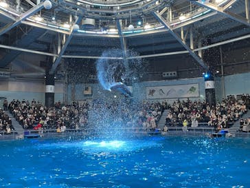 マクセル アクアパーク品川に投稿された画像（2021/11/28）