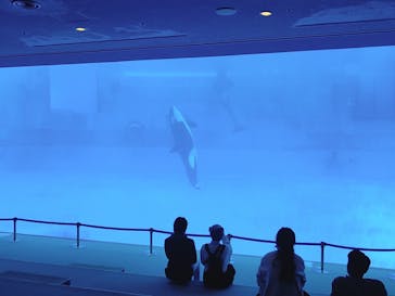 名古屋港水族館に投稿された画像（2021/11/28）