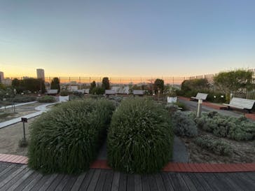 国立科学博物館に投稿された画像（2021/11/28）