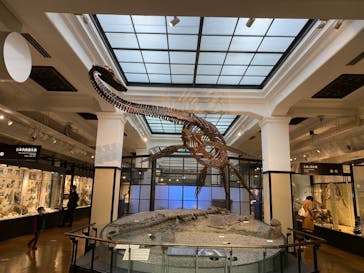 国立科学博物館に投稿された画像（2021/11/28）