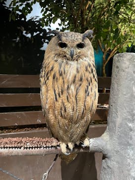 Moff animal world MARK IS みなとみらい店に投稿された画像（2021/11/28）