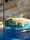 名古屋港水族館に投稿された画像（2021/11/28）