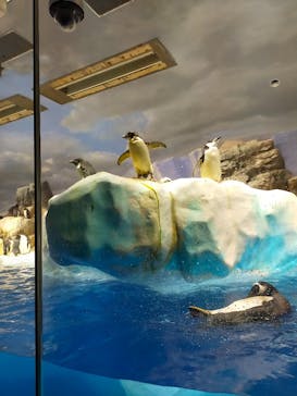 名古屋港水族館に投稿された画像（2021/11/28）