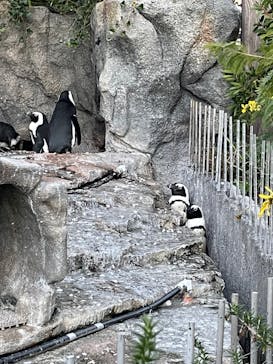 サンシャイン水族館に投稿された画像（2021/11/28）