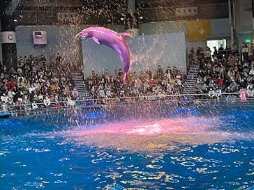 マクセル アクアパーク品川に投稿された画像（2021/11/28）