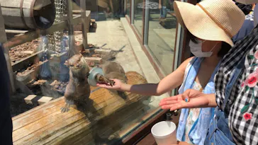 横浜・八景島シーパラダイスに投稿された画像（2021/11/28）