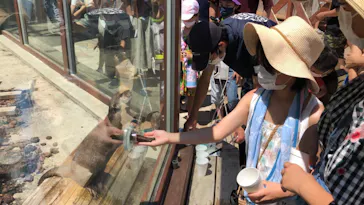 横浜・八景島シーパラダイスに投稿された画像（2021/11/28）