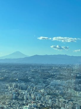 横浜ランドマークタワー 69階展望フロア スカイガーデンに投稿された画像（2021/11/28）