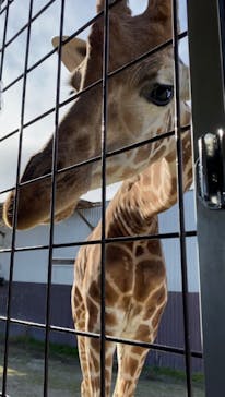 那須サファリパークに投稿された画像（2021/11/28）