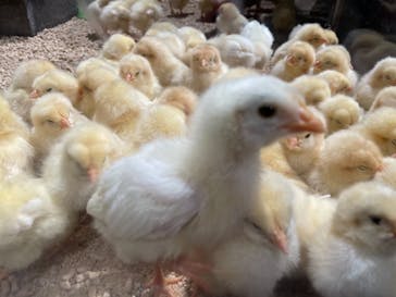 Moff animal world MARK IS みなとみらい店に投稿された画像（2021/11/28）