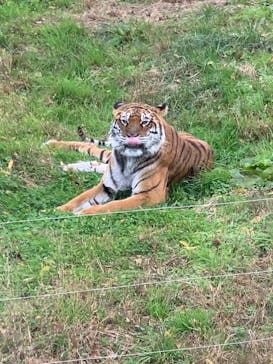 秋吉台自然動物公園 サファリランドに投稿された画像（2021/11/28）