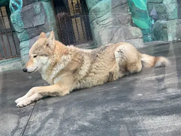 天王寺動物園に投稿された画像（2021/11/28）