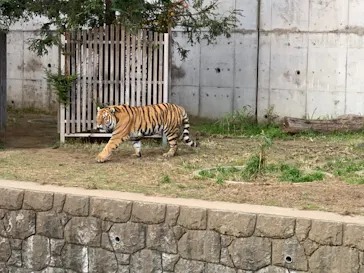 天王寺動物園に投稿された画像（2021/11/28）