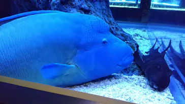すみだ水族館に投稿された画像（2021/11/28）