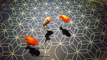 すみだ水族館に投稿された画像（2021/11/28）