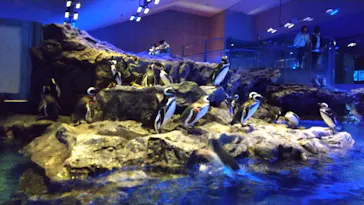 すみだ水族館に投稿された画像（2021/11/28）