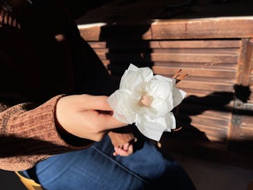 アトリエひわだやに投稿された画像（2021/11/28）