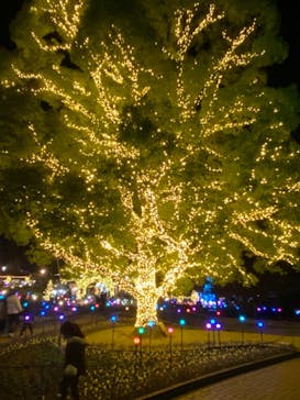 安城産業文化公園デンパークに投稿された画像（2021/11/28）