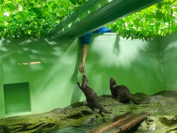しながわ水族館に投稿された画像（2021/11/28）