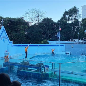 しながわ水族館に投稿された画像（2021/11/28）