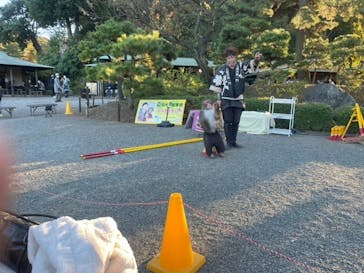 三溪園に投稿された画像（2021/11/28）