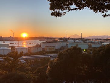 三溪園に投稿された画像（2021/11/29）