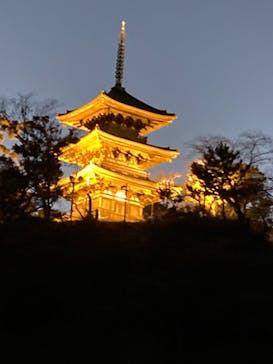 三溪園に投稿された画像（2021/11/29）