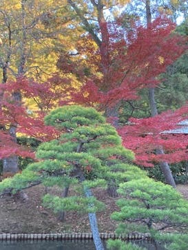 三溪園に投稿された画像（2021/11/29）