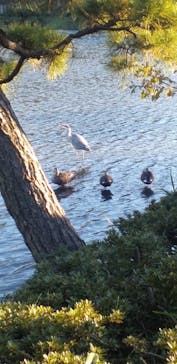 三溪園に投稿された画像（2021/11/29）