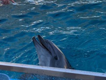 名古屋港水族館に投稿された画像（2021/11/29）