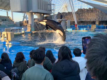 名古屋港水族館に投稿された画像（2021/11/29）