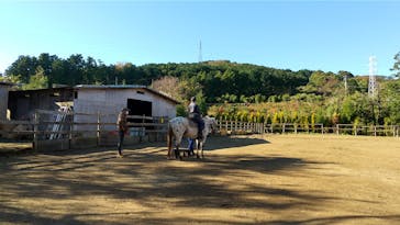 HORSE BASE（ホース ベース）に投稿された画像（2021/11/29）