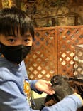 Moff animal world MARK IS みなとみらい店に投稿された画像（2021/11/29）