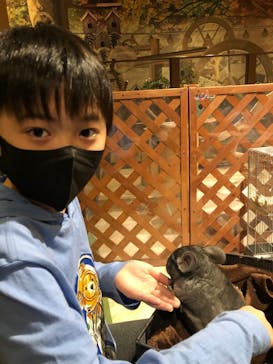 Moff animal world MARK IS みなとみらい店に投稿された画像（2021/11/29）