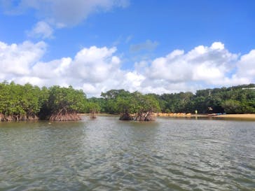 カヌー体験　らぐ～んに投稿された画像（2021/11/29）