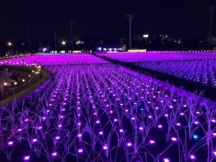 Tokyo Mega Illumination 口コミ一覧 アソビュー