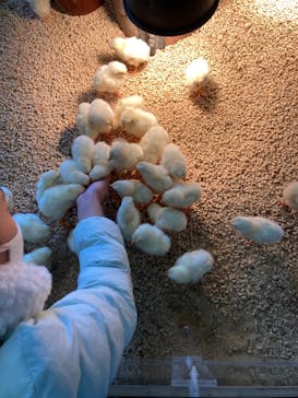 Moff animal cafe iias つくば店に投稿された画像（2021/11/29）