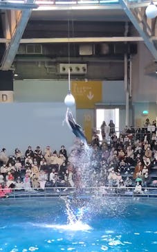 マクセル アクアパーク品川に投稿された画像（2021/11/29）