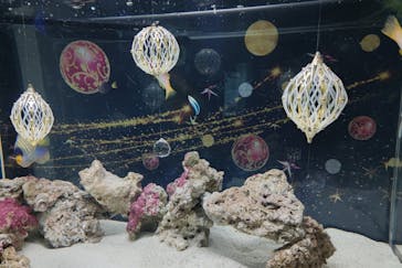 マクセル アクアパーク品川に投稿された画像（2021/11/29）