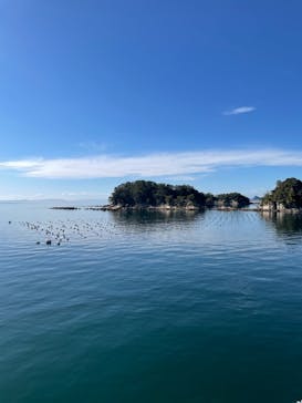 九十九島遊覧船に投稿された画像（2021/11/29）