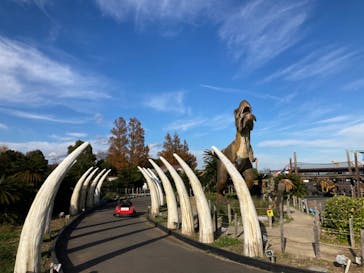 伊豆ぐらんぱる公園に投稿された画像（2021/11/29）